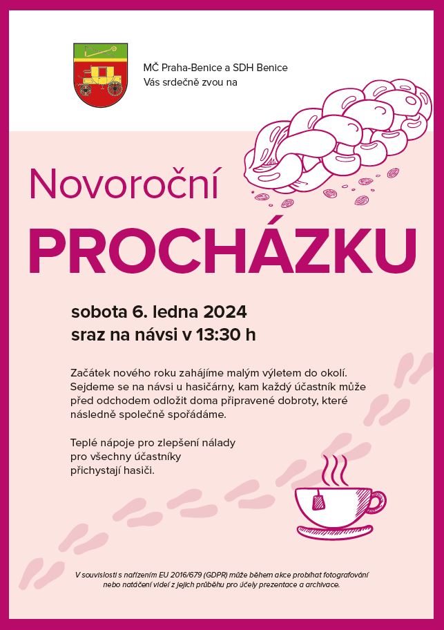 Novoroční procházka